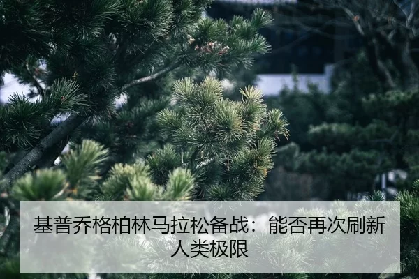 ji-pu-qiao-ge-bo-lin-ma-la-song-bei-zhan-neng-fou-zai-ci-shua-xin-ren-lei-ji-xian-2-606.jpg