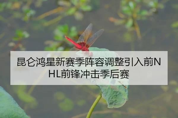 昆仑鸿星新赛季阵容调整引入前NHL前锋冲击季后赛