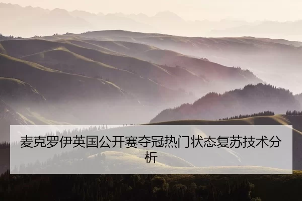 mai-ke-luo-yi-ying-guo-gong-kai-sai-duo-guan-re-men-zhuang-tai-fu-su-ji-shu-fen-xi-2-209.jpg