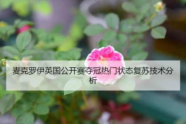 麦克罗伊英国公开赛夺冠热门状态复苏技术分析