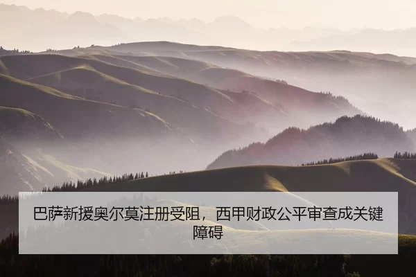 ba-sa-xin-yuan-ao-er-mo-zhu-ce-shou-zu-xi-jia-cai-zheng-gong-ping-shen-cha-cheng-guan-jian-zhang-ai-2-629.jpg