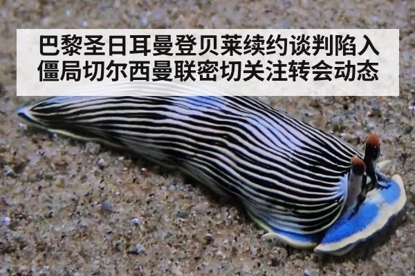 巴黎圣日耳曼登贝莱续约谈判陷入僵局切尔西曼联密切关注转会动态